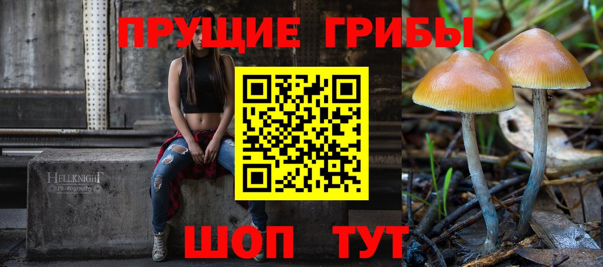 Кушва  Галлюциногенные грибы Cubensis  Вход с VPN 